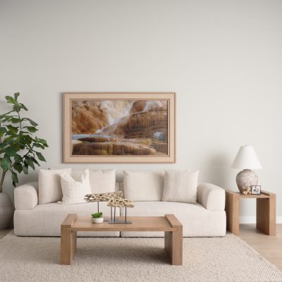 Alternative view of Dwell Cholla Wood Resin Decorative Object