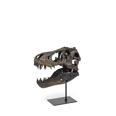 Jurassic 6L x 10W Brown Resin Tyrannosaurus Skull Replica