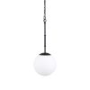 Edie Matte Black Metal w/ Frosted Glass Globe 1-Light Pendant 2 0080803 70457 A