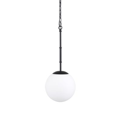Edie Matte Black Metal w/ Frosted Glass Globe 1-Light Pendant