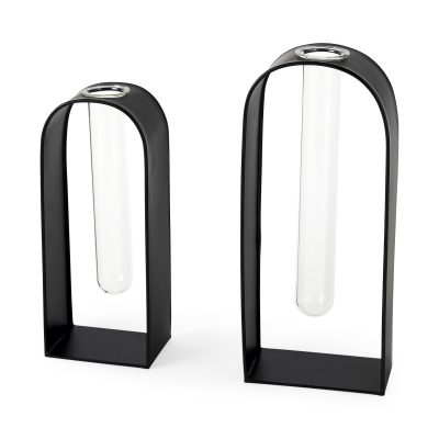 Boyer 5.1L x 3.0W x 12.0H Black Metal W/Glass Set of Two Test Tube Decorative Objects