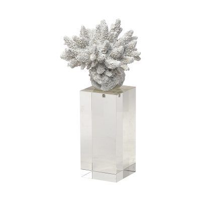 Isla (Large) 5L x 5W White Replica Resin Coral On Clear White Glass