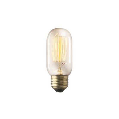 Filament E26 40W 4.2"H Bulb