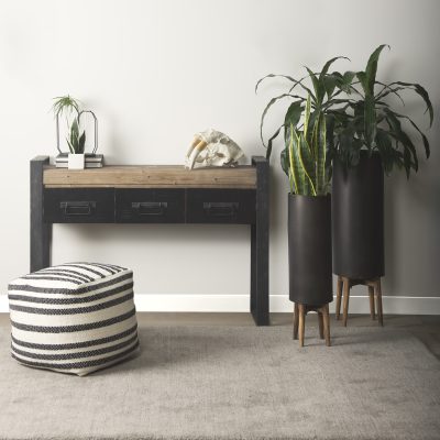 Alternative view of Fozzil 9L x 9W Resin Sabretooth Skull Replica