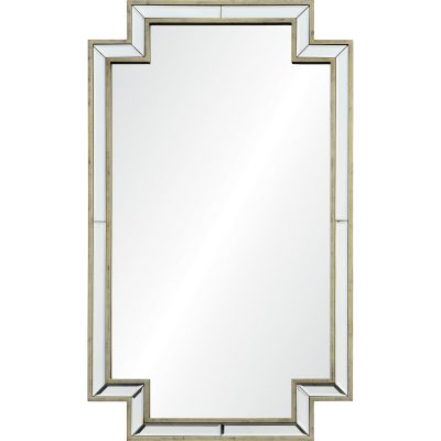 Raton 40" Tall Rectangle Wall Mirror, Grey