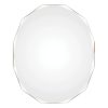 Astor 28" Tall Irregular Wall Mirror