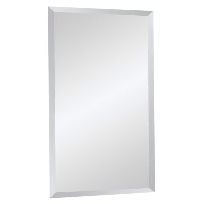 Bjorn 20" Tall Rectangle Wall Mirror