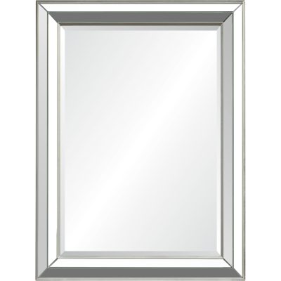 Hawkwell 40" Tall Rectangle Wall Mirror, Grey
