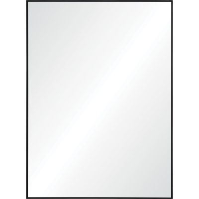 Raizel 40" Tall Rectangle Wall Mirror, Black