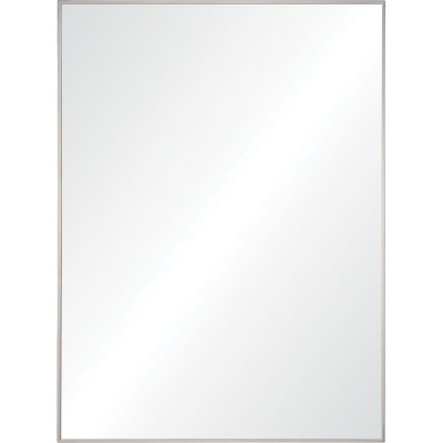 Carmelle 40" Tall Rectangle Wall Mirror, Grey