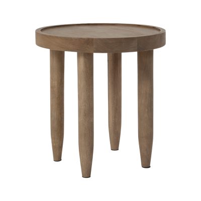 Cicoria 19.0" Height Side Table