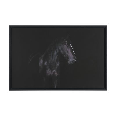 Majestic Midnight by Rehpoehler Framed Photo Print Matted under Glass