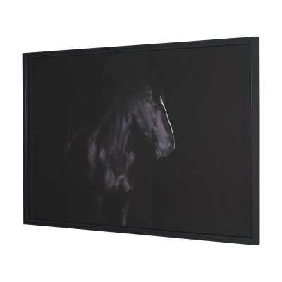 Alternative view of Majestic Midnight by Rehpoehler Framed Photo Print Matted under Glass