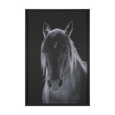 Shadowborn Majesty by Frank Ma Framed Photo Print Matted under Glass