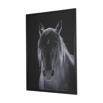 Alternative view of Shadowborn Majesty by Frank Ma Framed Photo Print Matted under Glass