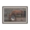 Sharing Lunch by Gert van den Bosch FramedPhoto Print Matted under Glass