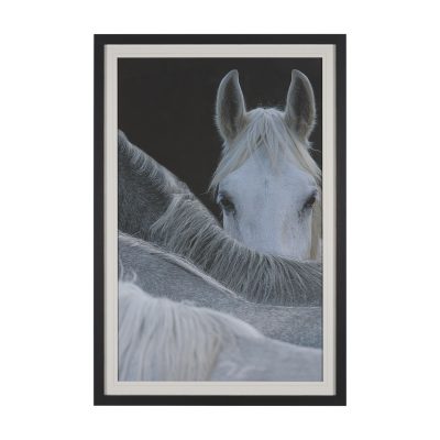 Look by Milan Malovrh FramedPhoto Print Matted under Glass