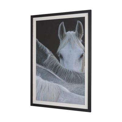 Alternative view of Look by Milan Malovrh FramedPhoto Print Matted under Glass