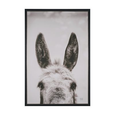 Downward Facing Donkey Sepia by Nathan Larson Textured Framed Canvas Photo Print