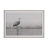Pelican Stories by Nathan Larson Framed Art Print Matted under Glass