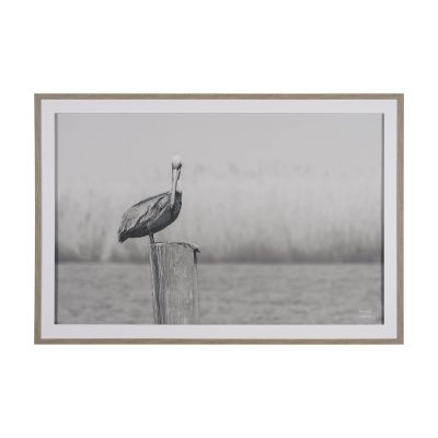 Pelican Stories by Nathan Larson Framed Art Print Matted under Glass
