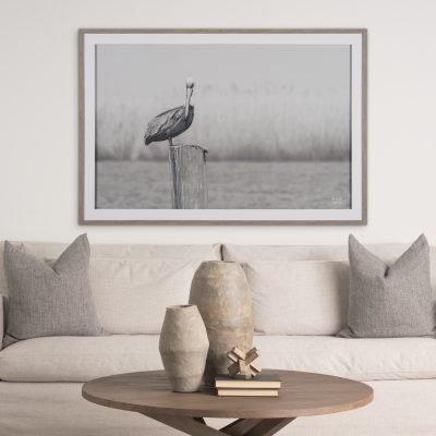 Alternative view of Pelican Stories by Nathan Larson Framed Art Print Matted under Glass