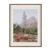 Agave on the Rocks by Kelly Frere Framed Art Print Matted under Glass 2 0103447 16046 A
