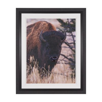 Stop Horsing Around by Gary Blatter Hand Embelished Framed Art Print Matted under Glass